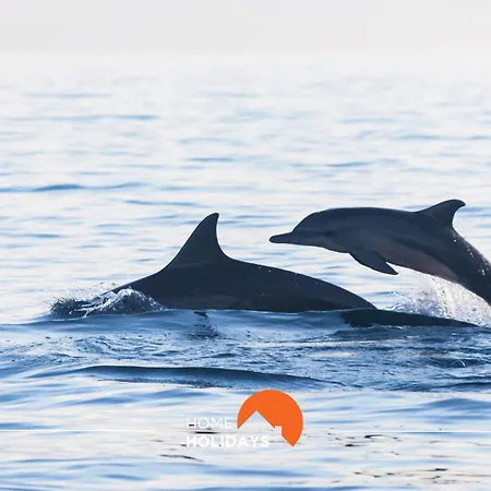 Hébergement de vacances #133 Dias 1 By Holidays